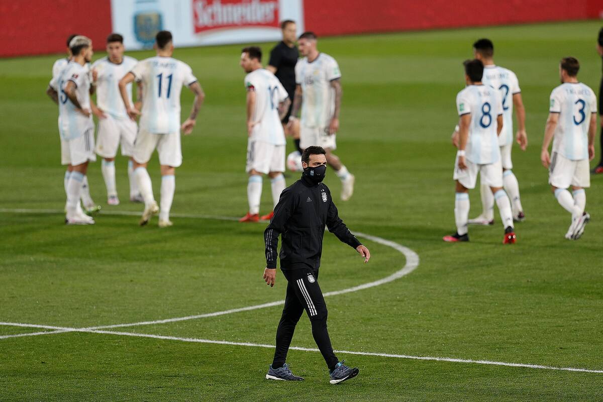 Lionel Scaloni en el partido frente a Ecuador.
