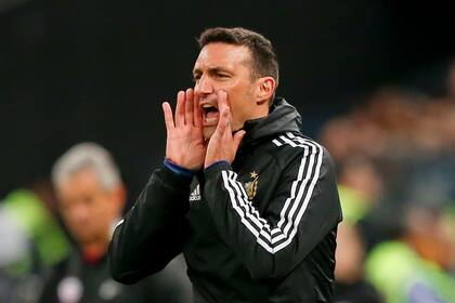 Lionel Scaloni, entrenador de la Selección Argentina