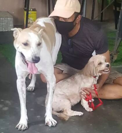Lionel tiene otro perro que no pudo adaptarse a la nueva inquilina de la casa, pero rápidamente consiguió un nuevo humano para Siggy
