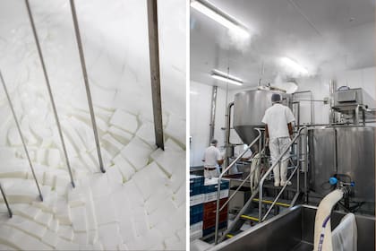 Lirado de la cuajada. Y el trabajo en la fábrica.