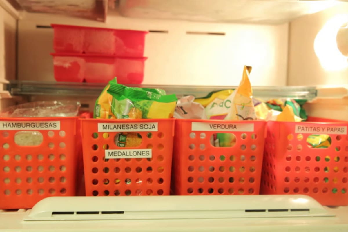 Lista de alimentos que están prohibidos de conservarse en el freezer