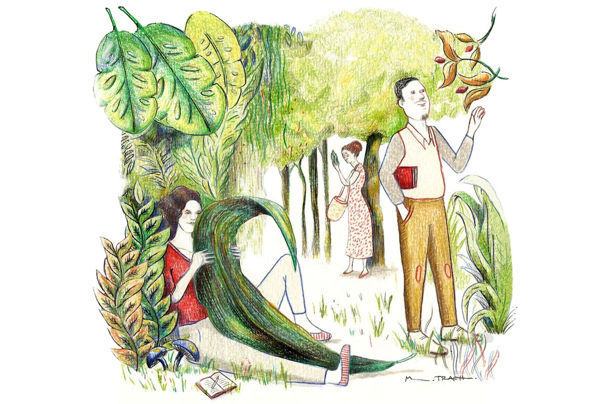 Literatura: del silencio de un jardín a la palabra poética