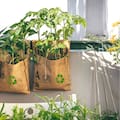 La alternativa a las macetas que gana lugar en balcones y terrazas
