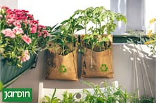 La alternativa a las macetas que gana lugar en balcones y terrazas