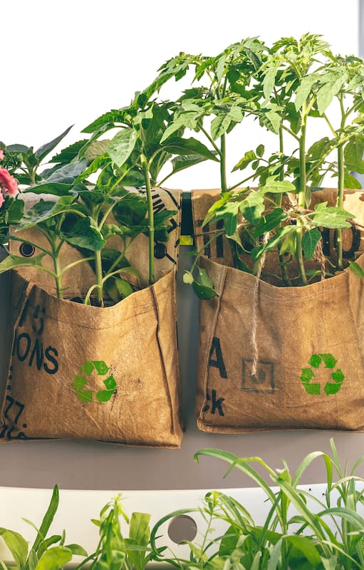 Livianas, reutilizables y fáciles de mover, las bolsas de cultivo permiten tener una huerta en lugares pequeños