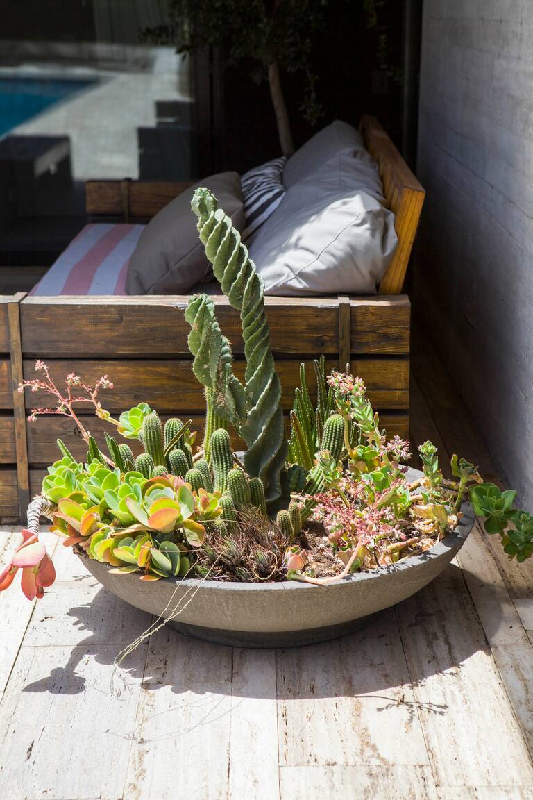 Living rincones verano