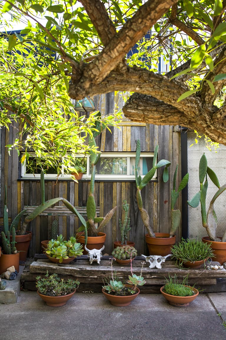 Living rincones verano