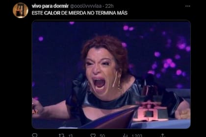Lizy Tagliani fue meme por el calor (Captura Twitter)