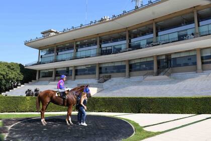 Llamas de Acero, su entrenadora, el peón y Palermo vacío, en la última jornada que se desarrolló allí, el 13 de marzo, sin público