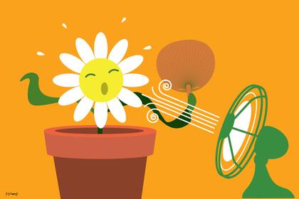 Llega el calor extremo a la ciudad