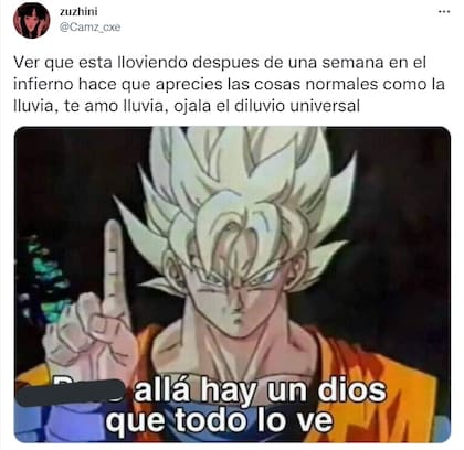 Llegó la lluvia y estallaron los memes