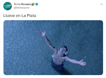 Llegó la lluvia y estallaron los memes
