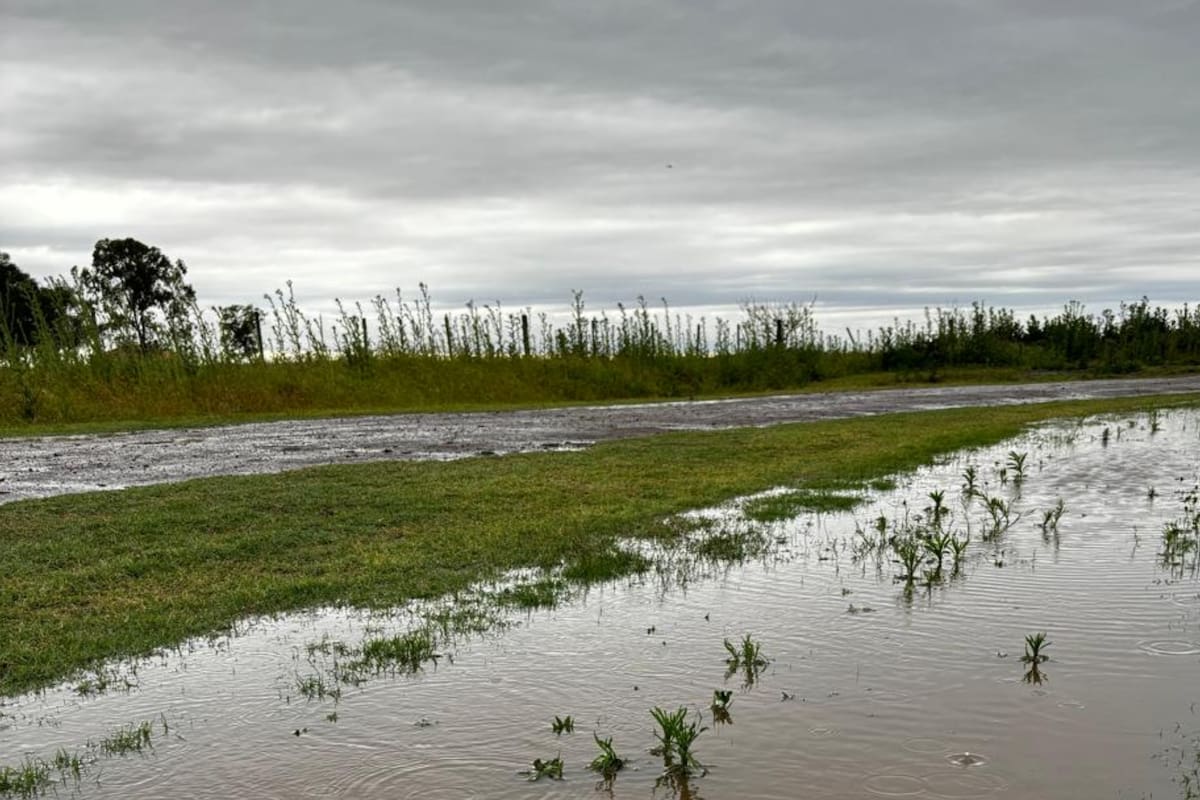 Llevaban 50 mm en Monte Buey, Córdoba