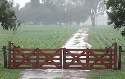 lluvias