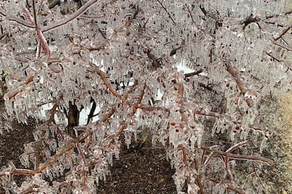 Lluvia helada azota región de los Grandes Lagos mientras Tennessee se prepara para clima extremo