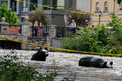 Lluvias en el área de Milwaukee causan inundaciones récord y desborde de ríos
