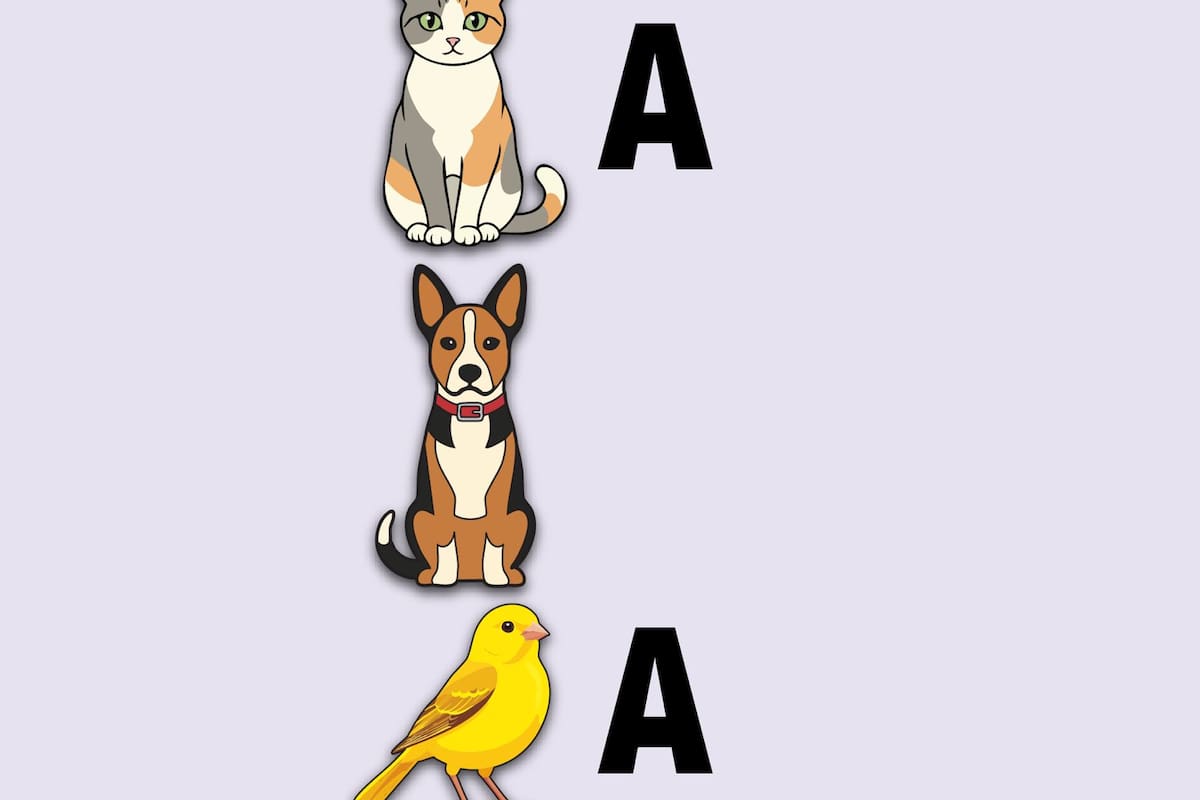 LN Juegos - Adivinanza