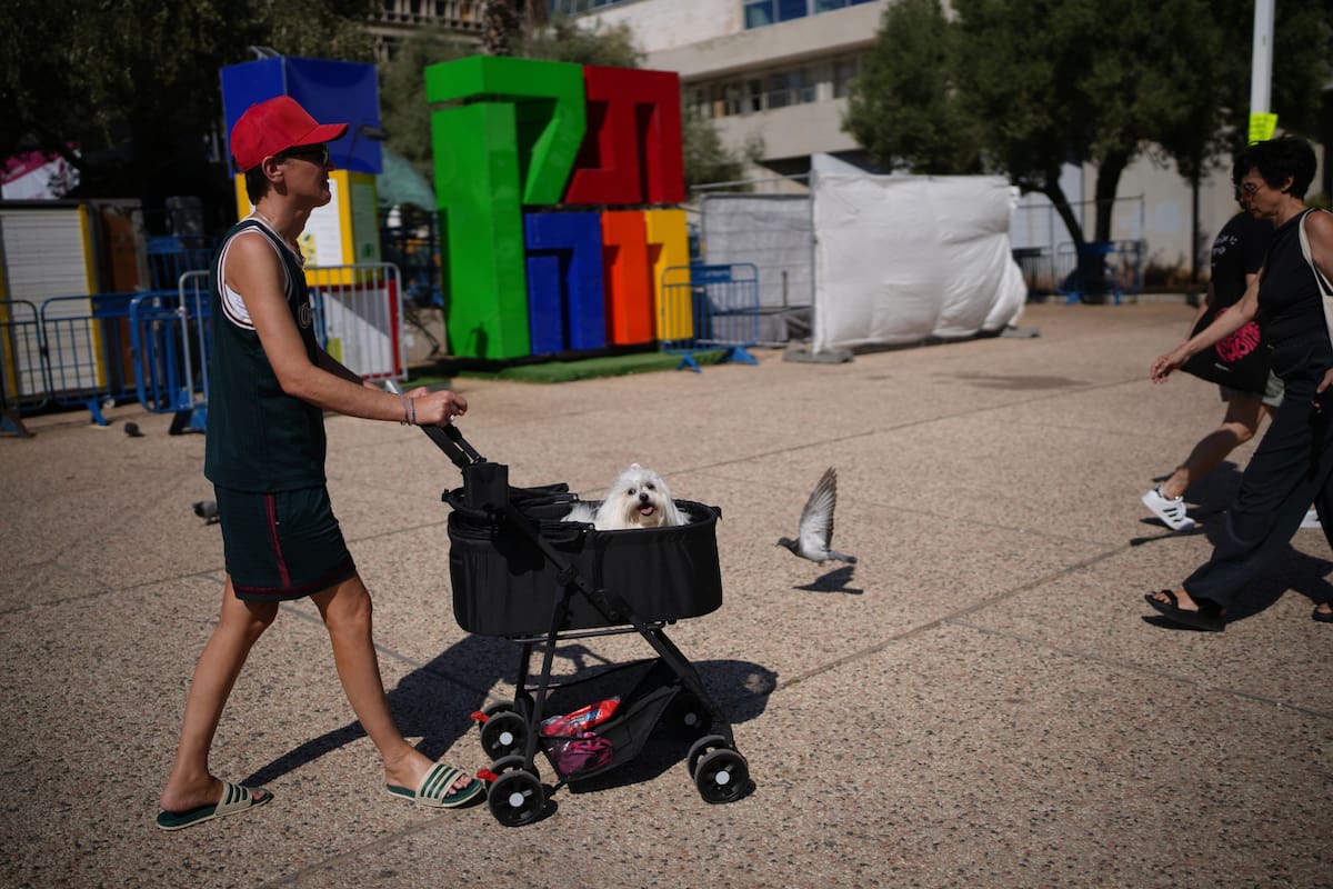 “Lo destruyeron todo”: cómo es el regreso de miles de palestinos a Gaza tras el cese el fuego