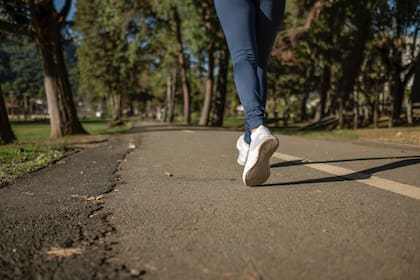 Lo ideal es empezar con caminatas de 15 a 20 minutos, de tres a cinco días a la semana