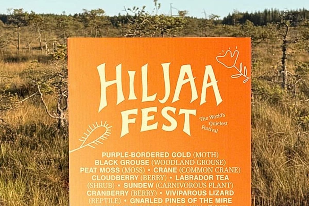 Lo llaman el Quietpalooza por su carácter silencioso - Hiljaa Fest