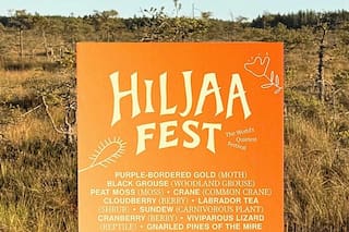 El país más feliz del mundo lanzó un festival del silencio en un parque nacional para escuchar la naturaleza
