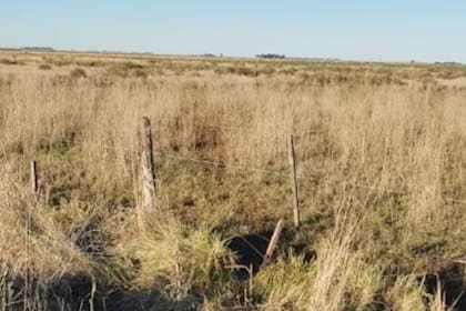 Lo primero que hace todo propietario que compra un terreno es alambrarlo y así delimitar su lote por seguridad y privacidad