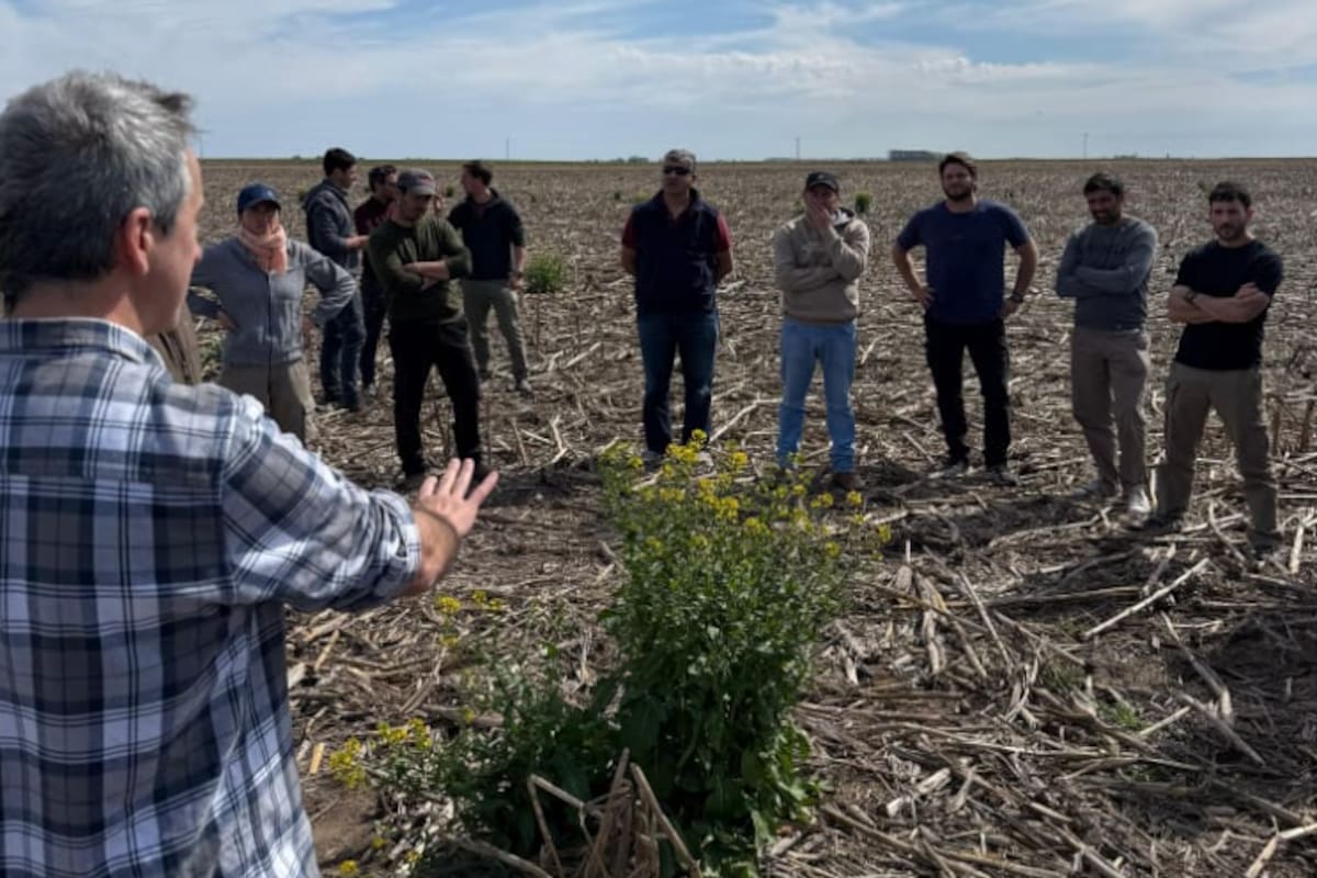 Lo principal es poner sobre la mesa todas las herramientas disponibles y las nuevas que se puedan idear o importar y empezar a ver cómo y cuándo utilizar cada una, y jugar con las escalas temporales, presentar una planificación de corto, mediano y largo plazo