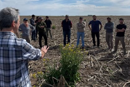 Lo principal es poner sobre la mesa todas las herramientas disponibles y las nuevas que se puedan idear o importar y empezar a ver cómo y cuándo utilizar cada una, y jugar con las escalas temporales, presentar una planificación de corto, mediano y largo plazo