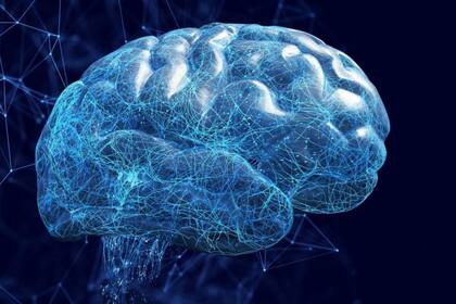 Lo que aún se desconoce sobre el cerebro, sobre cómo genera la consciencia o la memoria o sobre cómo curar muchas enfermedades neurológicas sigue siendo muchísimo