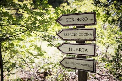 Lo que denominan “vivencias de cocina” abarcan una huerta biodinámica, la bodega vinagrera, espacios abiertos a los visitantes, clases de cocina y charlas.