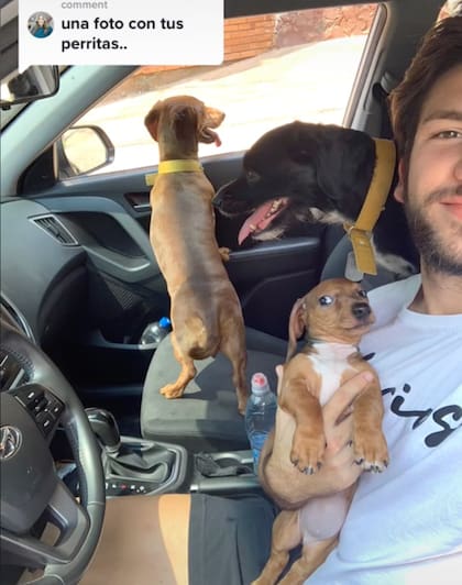 Lo que el tiktoker más extraña son sus perritas