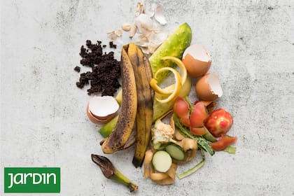 Lo que normalmente se tira, puede tener un gran valor en el jardín