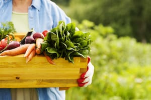 Lo que se busca con este tipo de alimentación es comer lo más natural posible, y así liberar al cuerpo de sustancias que, con el tiempo, podrían generar diversas enfermedades.