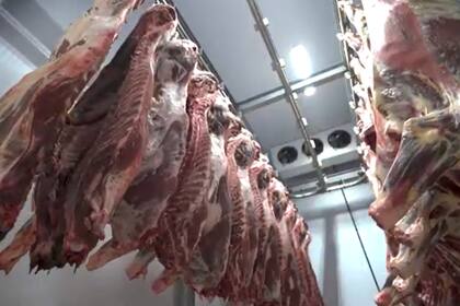 “Lo que se negoció en la cuota de Estados Unidos son posiciones arancelarias por las cuales ingresó más del 85% de nuestras exportaciones hasta el momento”, remarcaron