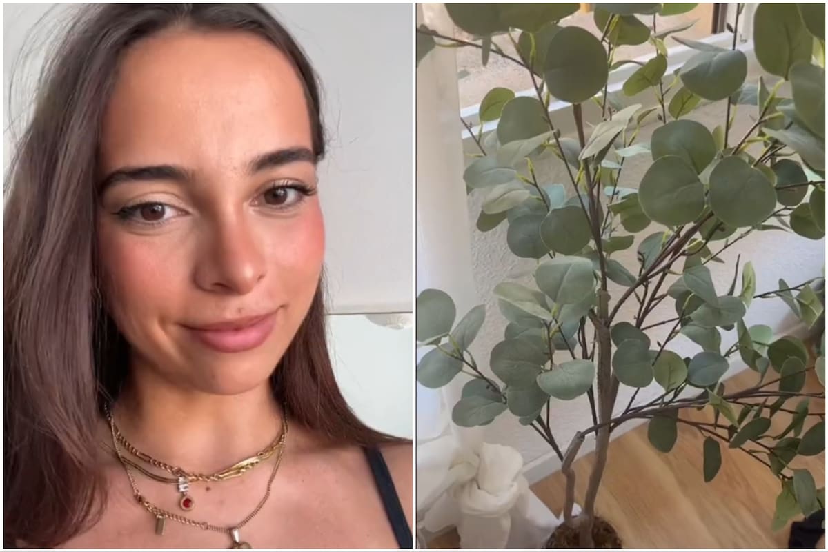 Lo que sucedió con la planta se viralizó en TikTok