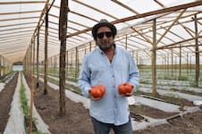“El rey del tomate”: se recibió de abogado, trabajó como modelo y productor de eventos, pero encontró su lugar en una quinta de La Plata