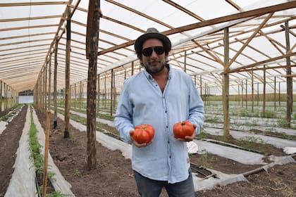 “Lo que yo priorizo es el sabor. No me importa si una planta me da 1 kilo contra 5 de la otra que no me gusta tanto”, explica Kunis
