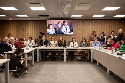"Logramos que nuestro acosador sexual reconociera públicamente los hechos. Es algo histórico. No hay registro que en Argentina haya sucedido algo así antes", destacó Kämpfer
