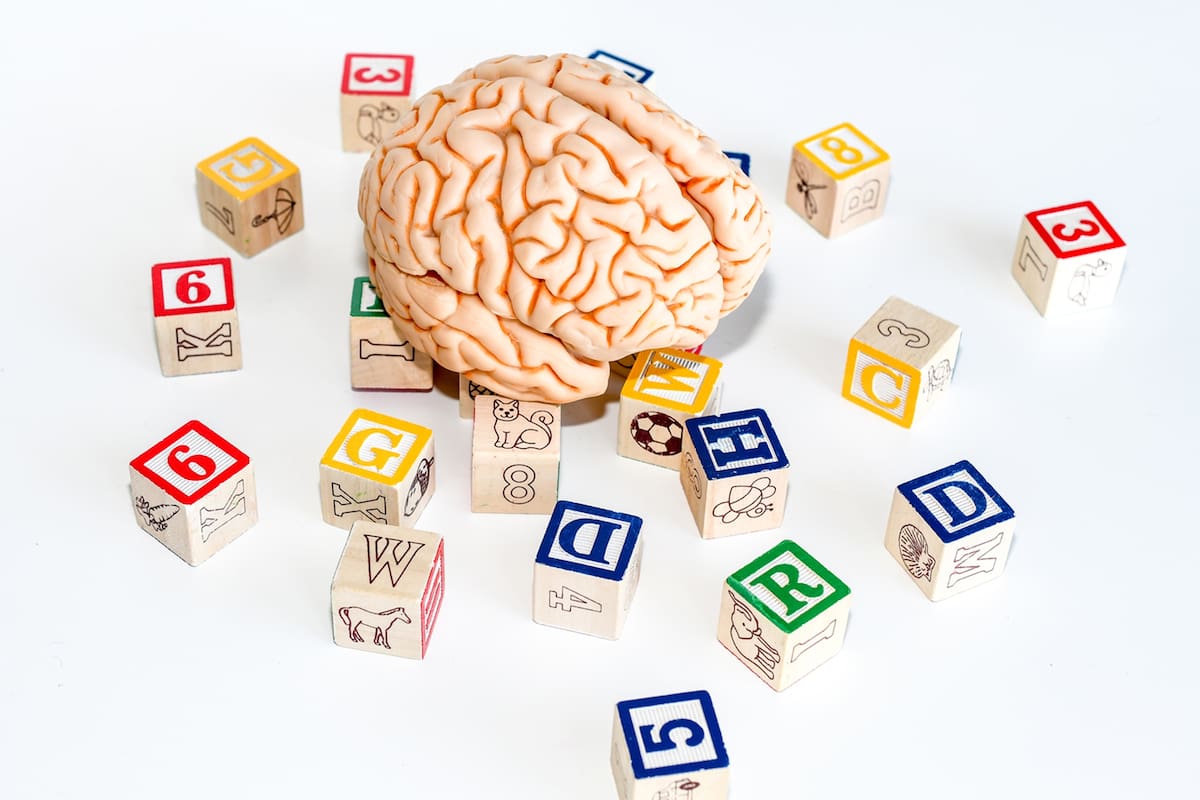 Lograron dilucidarlo gracias a un experimento con equipamiento que no existe en el país; podría aplicarse al diagnóstico de enfermedades neurológicas y al aprendizaje de idiomas