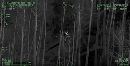 Lograron encontrar a la niña gracias a un dron con cámara térmica