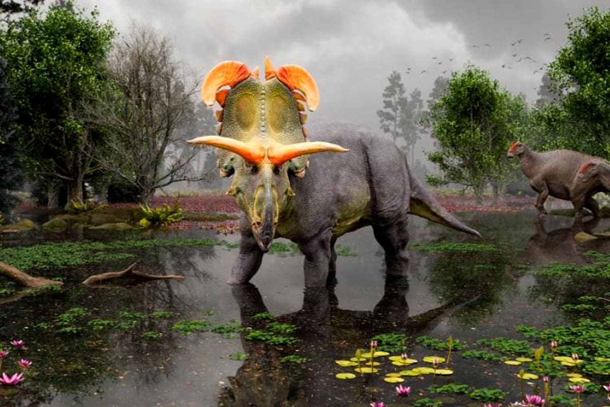 "Loki", el temible dinosaurio de inmensos cuernos que acaba de descubrir la ciencia