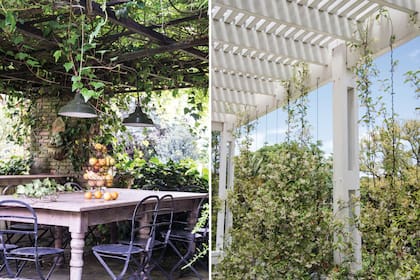 Izquierda: pérgola de estructura sencilla que deja trepar una glicina, complementada con hiedra perenne que se va guiando y aporta sombra todo el año. Derecha: Pérgola que genera sombra inmediata y permite el uso de la terraza, ideada por el arquitecto Pedro Insúa para atemperar el sol del verano.