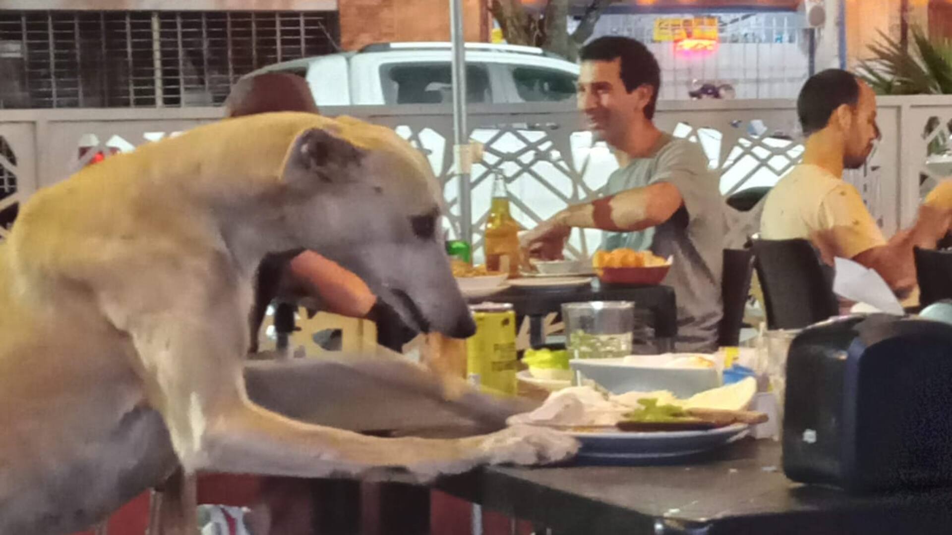 Lolo comía las sobras que quedaban en los platos de los bares.