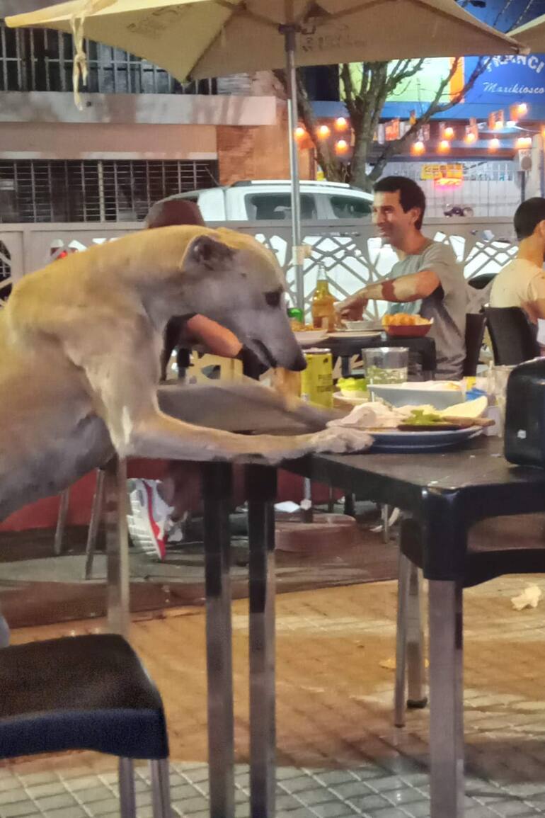 Lolo comía las sobras que quedaban en los platos de los bares.