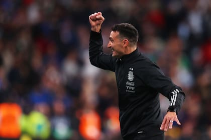 LONDON, ENGLAND - JUNE 01: Lionel Scaloni, Head Coach of Argentina celebrates after their side scored their third goal during the 2022 Finalissima match between Italy and Argentina at Wembley Stadium on June 01, 2022 in London, England. (Photo by Catherine Ivill - UEFA/UEFA via Getty Images)