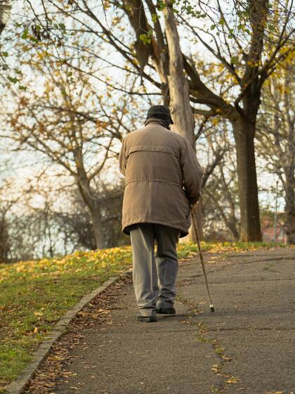 Longevidad: descubren cómo rejuvenecer el sistema inmune y ‘enseñarle’ al cuerpo a ‘fabricar una versión joven’