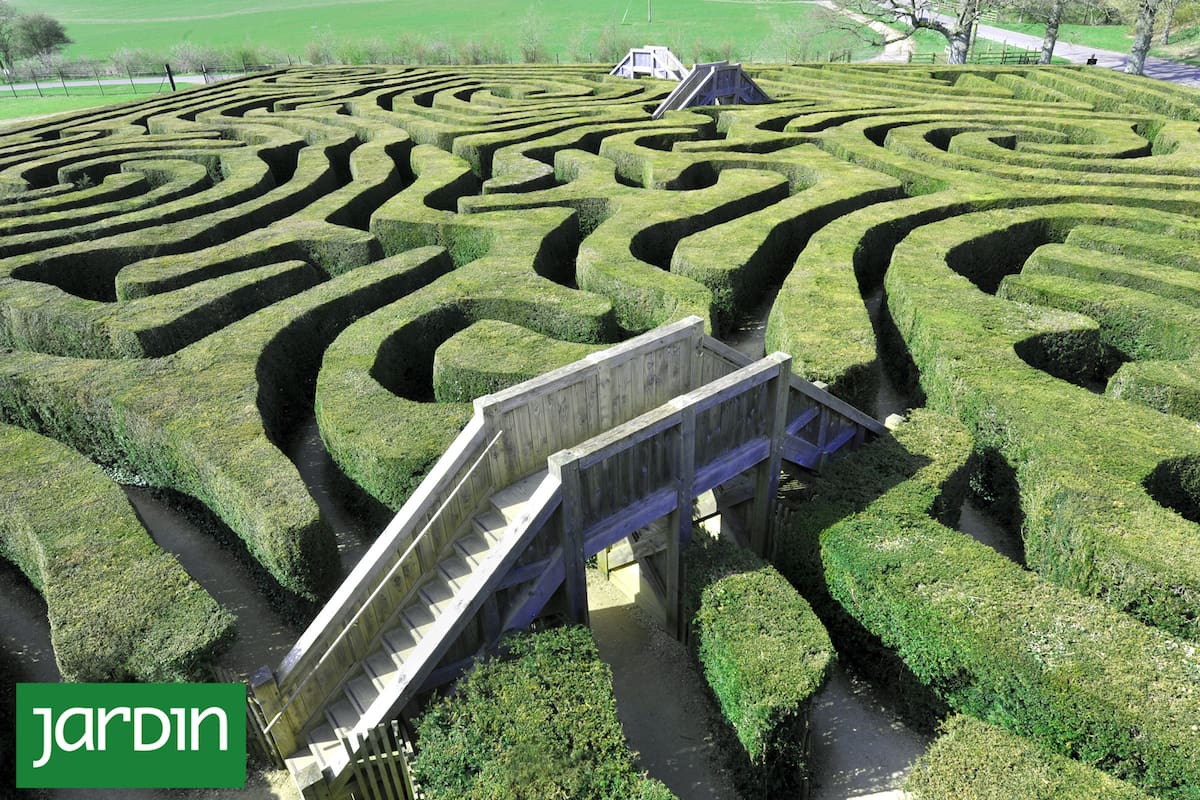 Longleat Hedge Maze