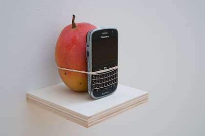 Look at the Size of this Mango, objeto, 2011