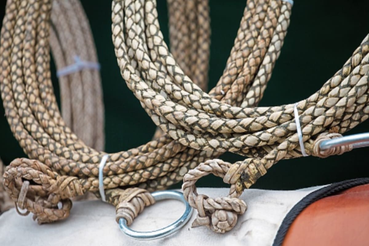 López Osornio fue un divulgador de la cultura gaucha