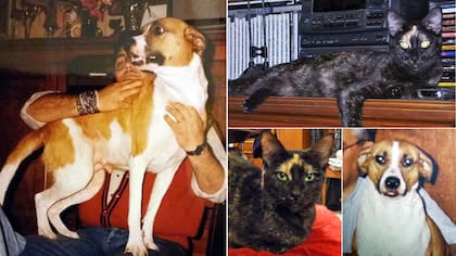 Loqui y Luli, las protagonistas de esta amistad de cuatro patas